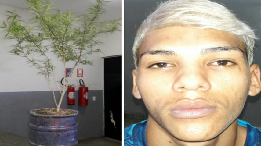 Joelson cultivava maconha